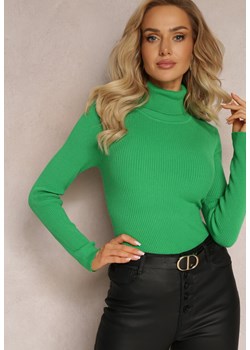 Zielony Klasyczny Golf z Długim Rękawem o Dopasowanym Kroju Ebonee ze sklepu Renee odzież w kategorii Swetry damskie - zdjęcie 169452181