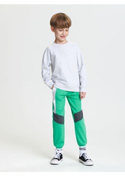 Sinsay - Spodnie dresowe jogger - zielony ze sklepu Sinsay w kategorii Spodnie chłopięce - zdjęcie 169455980