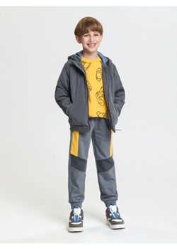 Sinsay - Spodnie dresowe jogger - szary ze sklepu Sinsay w kategorii Spodnie chłopięce - zdjęcie 169455981