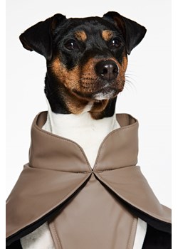 H & M - Powlekana kurtka dla psa - Beżowy ze sklepu H&M w kategorii Dla zwierząt - zdjęcie 169591130