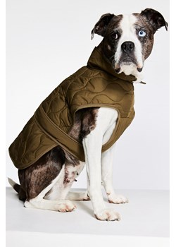 H & M - Pikowana kurtka dla psa - Zielony ze sklepu H&M w kategorii Dla zwierząt - zdjęcie 169592330