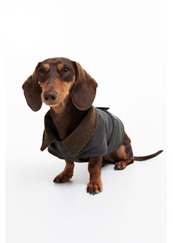 H & M - Woskowany płaszcz dla psa - Zielony ze sklepu H&M w kategorii Dla zwierząt - zdjęcie 169594563