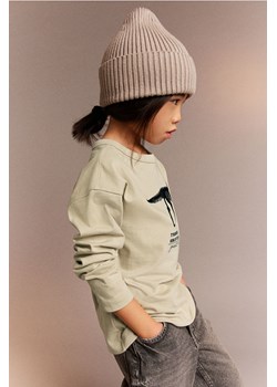 H & M - T-shirt z długim rękawem - Zielony ze sklepu H&M w kategorii T-shirty chłopięce - zdjęcie 169599233