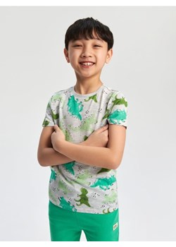 Sinsay - Koszulka z nadrukiem - szary ze sklepu Sinsay w kategorii T-shirty chłopięce - zdjęcie 169615320