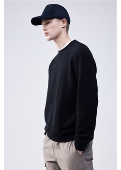 H & M - Bluza w prążki Regular Fit - Czarny ze sklepu H&M w kategorii Bluzy męskie - zdjęcie 169617532