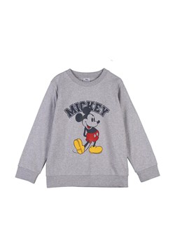 Bluza chłopięca nierozpinana - Myszka Mickey ze sklepu 5.10.15 w kategorii Bluzy chłopięce - zdjęcie 169685524