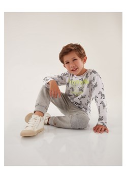 Bawełniana bluzka dla chłopca w zebry ze sklepu 5.10.15 w kategorii T-shirty chłopięce - zdjęcie 169688880