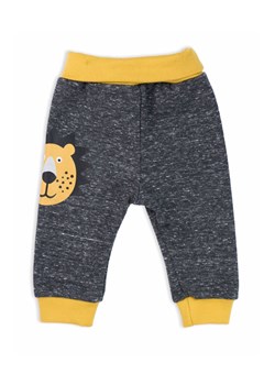 Spodnie dresowe niemowlęce Lion ze sklepu 5.10.15 w kategorii Spodnie i półśpiochy - zdjęcie 169701052