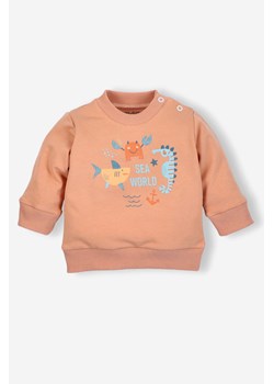 Bluza niemowlęca z bawełny organicznej dla chłopca ze sklepu 5.10.15 w kategorii Bluzy i swetry - zdjęcie 169701363