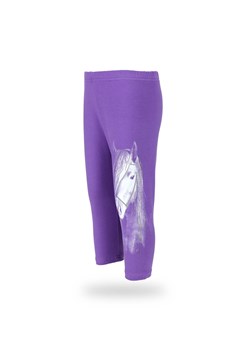 Dziewczęce legginsy 3/4 fioletowe z aplikacją z koniem ze sklepu 5.10.15 w kategorii Spodnie dziewczęce - zdjęcie 169706011