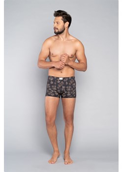 Bokserki męskie PINUS Italian Fashion z nadrukiem ze sklepu 5.10.15 w kategorii Majtki męskie - zdjęcie 169708572
