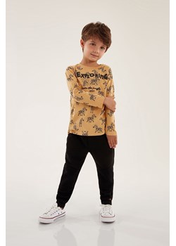Bawełniana bluzka dla chłopca w zebry ze sklepu 5.10.15 w kategorii T-shirty chłopięce - zdjęcie 169711460