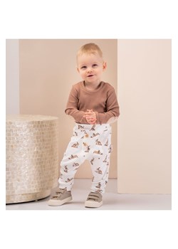 Spodnie dresowe chłopięce Benio ze sklepu 5.10.15 w kategorii Spodnie i półśpiochy - zdjęcie 169713563