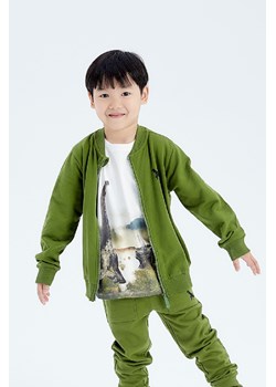 Zielona bluza dresowa dla chłopca z dinozaurem ze sklepu 5.10.15 w kategorii Bluzy chłopięce - zdjęcie 169713812