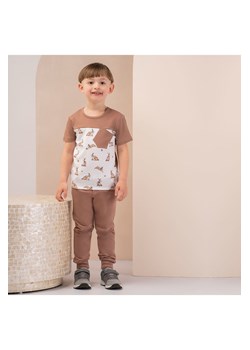 Spodnie dresowe chłopięce Benio ze sklepu 5.10.15 w kategorii Spodnie i półśpiochy - zdjęcie 169714703