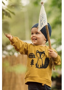 Bluza niemowlęca dresowa Secret Forest curry ze sklepu 5.10.15 w kategorii Bluzy i swetry - zdjęcie 169715330