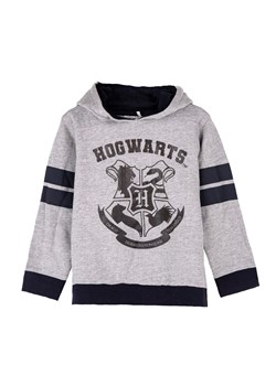Bluza dresowa z kapturem - Harry Potter ze sklepu 5.10.15 w kategorii Bluzy chłopięce - zdjęcie 169718800