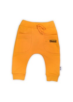 Spodnie dresowe chłopięce - żółte ze sklepu 5.10.15 w kategorii Spodnie i półśpiochy - zdjęcie 169722144