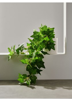 Sinsay - Roślina ozdobna - zielony ze sklepu Sinsay w kategorii Dekoracje - zdjęcie 169780652
