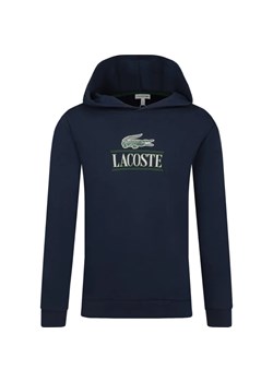 Lacoste Bluza | Regular Fit ze sklepu Gomez Fashion Store w kategorii Bluzy dziewczęce - zdjęcie 169810922