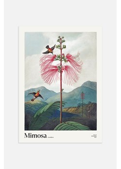 H & M - Mimosa Grandiflora Plakat - Zielony ze sklepu H&M w kategorii Plakaty - zdjęcie 169907782