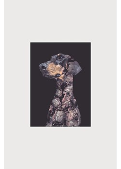 H & M - Faunascapes - Portraits Doberman Dog - Czarny ze sklepu H&M w kategorii Dekoracje ścienne - zdjęcie 169908372