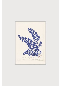 H & M - Wild Apple- Botanical Fern Iii Blue - Niebieski ze sklepu H&M w kategorii Dekoracje ścienne - zdjęcie 169908413