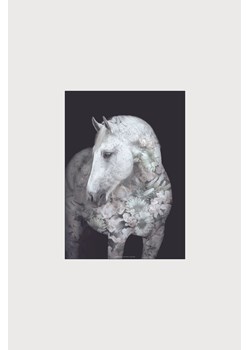 H & M - Faunascapes - Portraits Andalusian Horse - Czarny ze sklepu H&M w kategorii Dekoracje ścienne - zdjęcie 169908672