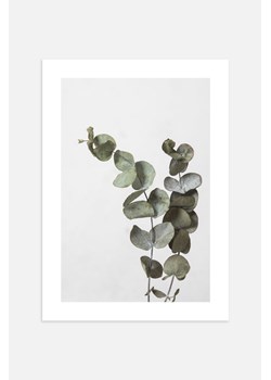 H & M - Eucalyptus Branch Plakat - Zielony ze sklepu H&M w kategorii Dekoracje ścienne - zdjęcie 169908794