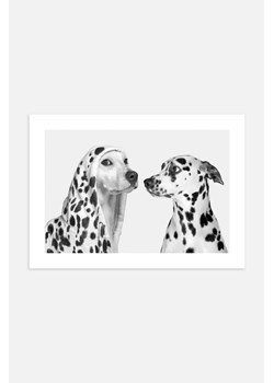 H & M - Dotty Dogs Plakat - Biały ze sklepu H&M w kategorii Plakaty - zdjęcie 169908903