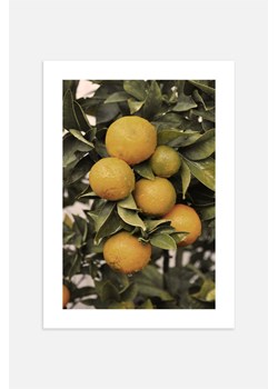 H & M - Orange Tree Plakat - Zielony ze sklepu H&M w kategorii Dekoracje ścienne - zdjęcie 169909044