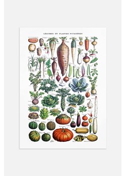 H & M - Garden Vegetables Overview Plakat - Biały ze sklepu H&M w kategorii Plakaty - zdjęcie 169909160
