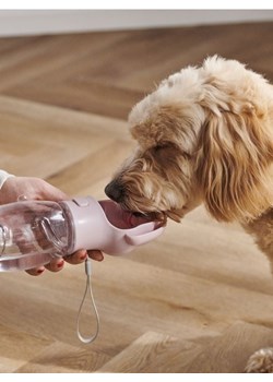 Sinsay - Butelka dla psa - różowy ze sklepu Sinsay w kategorii Dla zwierząt - zdjęcie 169913784