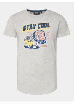 INDICODE T-Shirt Chill 40-934 Szary Regular Fit ze sklepu MODIVO w kategorii T-shirty męskie - zdjęcie 169973663