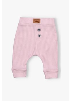 Spodnie niemowlęce z dzianiny prążkowej ze sklepu 5.10.15 w kategorii Spodnie i półśpiochy - zdjęcie 169994503