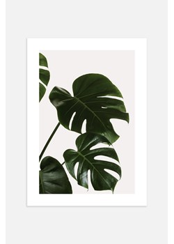 H & M - Monstera Leaves Plakat - Zielony ze sklepu H&M w kategorii Dekoracje ścienne - zdjęcie 169997211