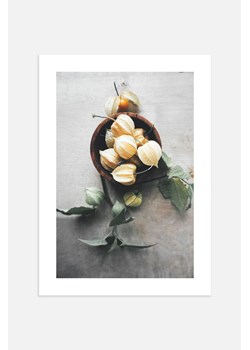 H & M - Winter Cherries Plakat - Zielony ze sklepu H&M w kategorii Plakaty - zdjęcie 169997232