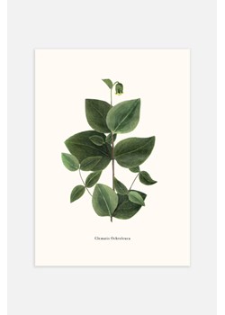 H & M - Green Clematis Plakat - Zielony ze sklepu H&M w kategorii Dekoracje ścienne - zdjęcie 169997354