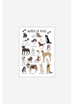 H & M - Mouse & Pen - World Of Dogs - Brązowy ze sklepu H&M w kategorii Plakaty - zdjęcie 170117404