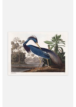 H & M - Lousiana Heron Plakat - Niebieski ze sklepu H&M w kategorii Plakaty - zdjęcie 170209751