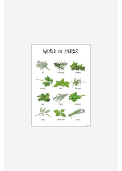 H & M - Mouse & Pen - World Of Herbs - Zielony ze sklepu H&M w kategorii Plakaty - zdjęcie 170274261