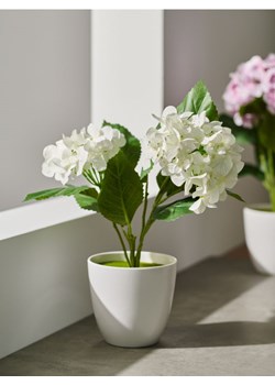 Sinsay - Roślina ozdobna - biały ze sklepu Sinsay w kategorii Dekoracje wielkanocne - zdjęcie 170439023