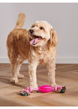 Sinsay - Zabawka dla psa - różowy ze sklepu Sinsay w kategorii Dla zwierząt - zdjęcie 170504923