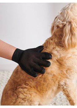 Sinsay - Rękawica do pielęgnacji sierści - szary ze sklepu Sinsay w kategorii Dla zwierząt - zdjęcie 170504924