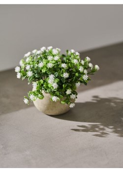 Sinsay - Roślina ozdobna - biały ze sklepu Sinsay w kategorii Dekoracje wielkanocne - zdjęcie 170645750