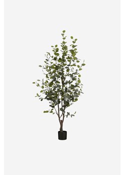 H & M - Sztuczna Roślina Eukaliptusowa - Zielony ze sklepu H&M w kategorii Dekoracje - zdjęcie 170667100