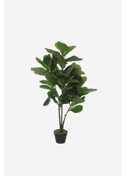 H & M - Ficus Artificial Plant - Zielony ze sklepu H&M w kategorii Dekoracje - zdjęcie 170667262