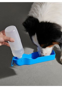 Sinsay - Butelka dla psa - błękitny ze sklepu Sinsay w kategorii Dla zwierząt - zdjęcie 170721924