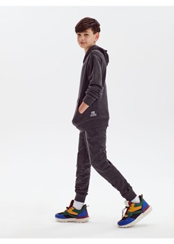 Sinsay - Spodnie dresowe jogger - szary ze sklepu Sinsay w kategorii Spodnie chłopięce - zdjęcie 170757271