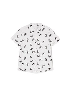 Cropp - Biała koszula w koty - biały ze sklepu Cropp w kategorii Koszule damskie - zdjęcie 170822734